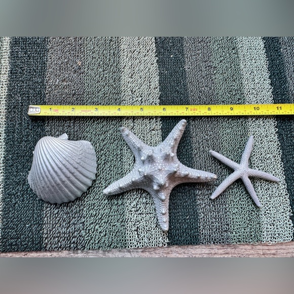 Small Plastic Silver Seashell and Starfish Decor Set - Picture 3 of 8